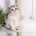 Arbre à chat griffoir recouvert de sisal Tour pour chat personnalisée